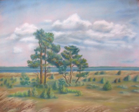 26. "RANNASAADU" 54X66